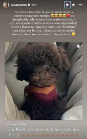 Laura Escanes se siente madre otra vez con el nuevo miembro de su familia