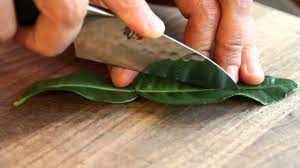 How To Chop And Use Kaffir Lime Leaves Youtube