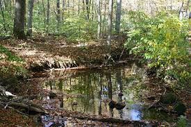 Trees had been cut down leaving big stumps and the site completely exposed. Nature Story And Activity Elverson Pa Berksfun Com Kids Events In Berks County