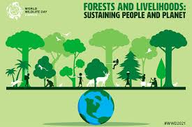 Actualmente, o dia da terra é comemorado por. Dia Mundial Da Vida Selvagem 2021 Black Jaguar Foundation