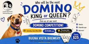 Domino Competition