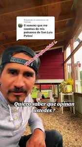 Consejos de motivación y gratitud para TikTok