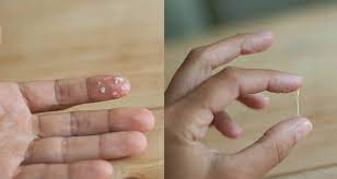 It might also happen sooner or later depending on the length of the menstrual cycle (3). After Ovulation How Does Cervical Mucus Look Like