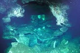 Gambar dasar laut dengan kumpulan biota anemon laut juga tidak kalah indah dan seru untuk terumbu karang adalah pusat kehidupan didasar laut, tempat bagi semua biota laut saling. Berita Kehidupan Dasar Laut Terbaru Hari Ini National Geographic