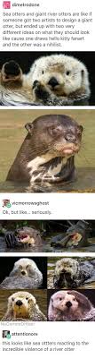 Difference between sea and river seas and rivers are highly valuable as they substantially influence the survival of flora and fauna. River Otter Vs Sea Otter Maetel Tumblr