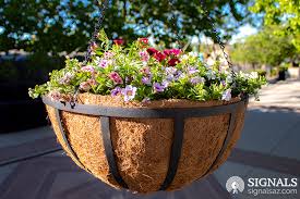3071 n robert rd, prescott valley, az 86314, usa. Beautification Of Downtown Prescott Valley Town Center Continues Signals Az