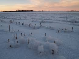 All locations and spots in morinville, alberta, canada marked by people from around the world. Morinville Ab Canada Sunrise Sunset Times