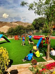 Agility Provides Energetic Dogs With The Mental And Physical Activity They Need It Also Provides Exercise And Fun Th Pet Resort Dog Psychology Indoor Dog Park
