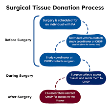 Image result for Tissue Donation