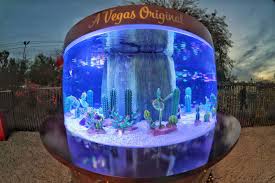 Nevada's largest cactus collection stands outside a candy mogul's small factory. Ethelm Got Tanked Ethel M