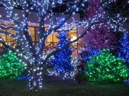 Green Christmas Lights Green Christmas Lights Outdoor Christmas Lights Christmas Lights Outside