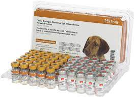 There is no guarantee we will need them one day. Dog Vaccinations Myths And Facts Jeffers Blogs