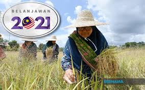 Padi sawah ialah sejenis padi yang ditanam di kawasan air bertakung yang disebut sawah padi. Tanaman Padi In English