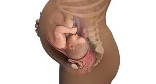 Ssw 41 Sie Sind 41 Wochen Schwanger Babycenter