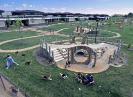 Caution Canine Taste Testers At Work Dog Playground Indoor Dog Park Dog Boarding Kennels