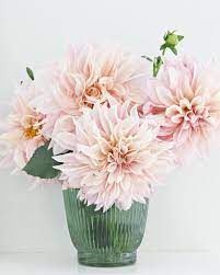 Pin On Beautiful Blooms