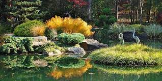 Pin By Gary Parks On Yardening Pinterest Scenery Japanese Garden Places To Go
