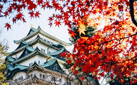 Image result for japanese images