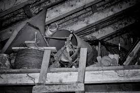 In winter the vegetation dies back, making it easier to spot mammal holes and burrows. How To Identify Pests In Your Attic By The Sounds You Re Hearing