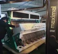Grain Parboiled Rice Colour Sorter Machine Intelligent 512 ...