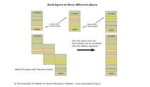 Transcribed image text from this question. Relative Dating Science Learning Hub