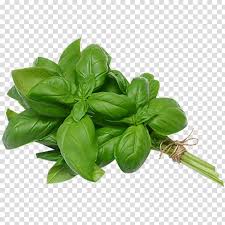 Pin On Png Images Transparent Background