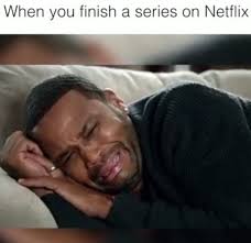 When You Finish A Series On Netflix Lol Funny Memes Dog Sneezing Memes
