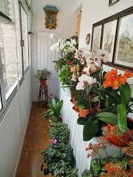 How To Make An Indoor Garden Using Containers Parenting Patch