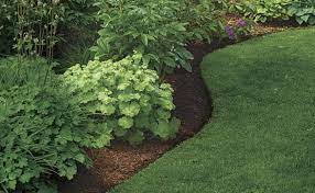 Planting in beds and borders. How To Create Perfect Edges For Your Garden Beds And Borders