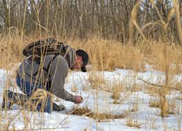 A buck will bed high, low, north, south, east or west and he even will bed on a. 5 Tips For Hunting Buck Bedding Areas Whitetaildna