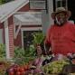 Farmers Market of Bluffton event image