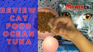 It provides customers with an easy, secure and fast online shopping experience through strong payment and logistical support. Review Kitchen Flavor Baby Cat Kitten Food 18 Youtube