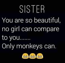 Best Funny Caption For Sister Birthday Pin By Manishaa Army On Quotes Of Love Friendship Sister Quotes Funny Brother Quotes Sibling Quotes