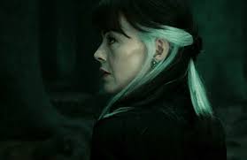 She was also the younger sister of bellatrix lestrange and andromeda tonks. Nanami Kento S Pet Sweet Thoughts Narcissa Malfoy X Female Reader