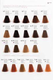 Glossco Professional Color Hair Chart Hair Color Chart Hair Chart Copper Hair