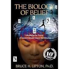 The Psych-k Experience: Twenty Life-affirming Practical Examples : Hofmann,  Brunhild, Schroder, Tim, Brill, Christoph: Amazon.in: Books