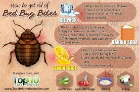 How To Get Rid Of Bed Bug Bites Top 10 Home Remedies Bed Bug Bites Rid Of Bed Bugs Bug Bites Remedies