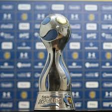 Con participación en la copa argentina desde 2012, el estadio quedará en el recuerdo para siempre como el escenario donde diego armando maradona dirigió por primera y única vez en el certamen. Download Stl File Argentinean Cup 3d 3d Print Object Cults