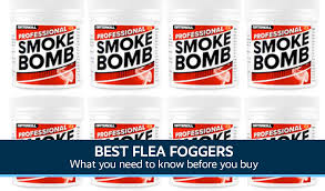 Best Flea Fogger Uk Internet Eyes
