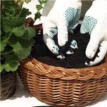 No Backyard? No Problem! Grow a Garden Anywhere