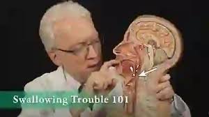 Image result for Swallowing