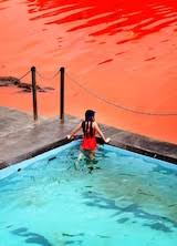Sydney's beaches closed as algae turns the sea blood red