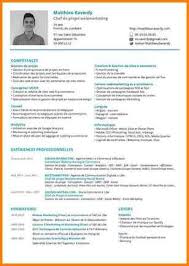 9 Cv Chef De Projet Informatique Format Lettre Projet Informatique Informatique Projet