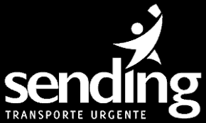 نتیجه جستجوی لغت [sending] در گوگل