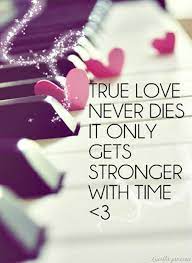 10 Best Love Quotes Of All Time Kutipan Cinta Sejati Kutipan Cinta Romantis Gambar Cinta