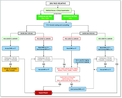 Proposed Flow Chart For A Dedicated Screening Program For
