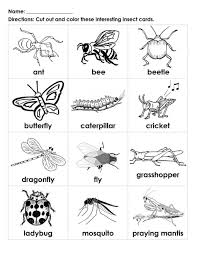 Insects Worksheets For Kindergarten Bugs For Kids To Color In 2020 Insects Preschool Insects For Kids Bugs Preschool