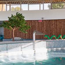 Piscine De La Bretonniere Comite Social Et Economique Defontaine La Bruffiere