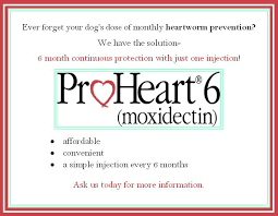 Proheart 6 Is A Convenient Injection That Protects Your Dog