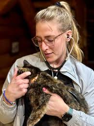 Mobile Veterinary Services by Lakeland Veterinary